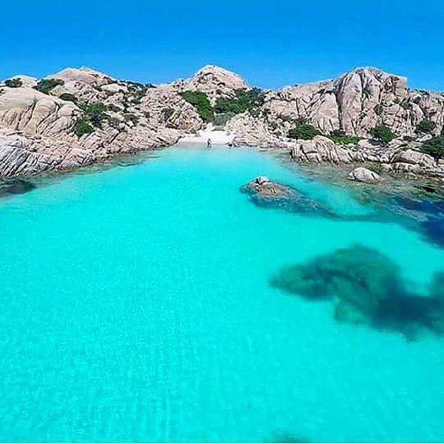 Arancio La Maddalena (Sassari)