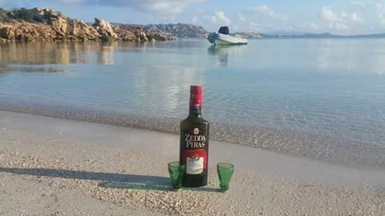 Arancio * La Maddalena (Sassari)